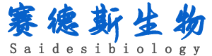 賽德斯